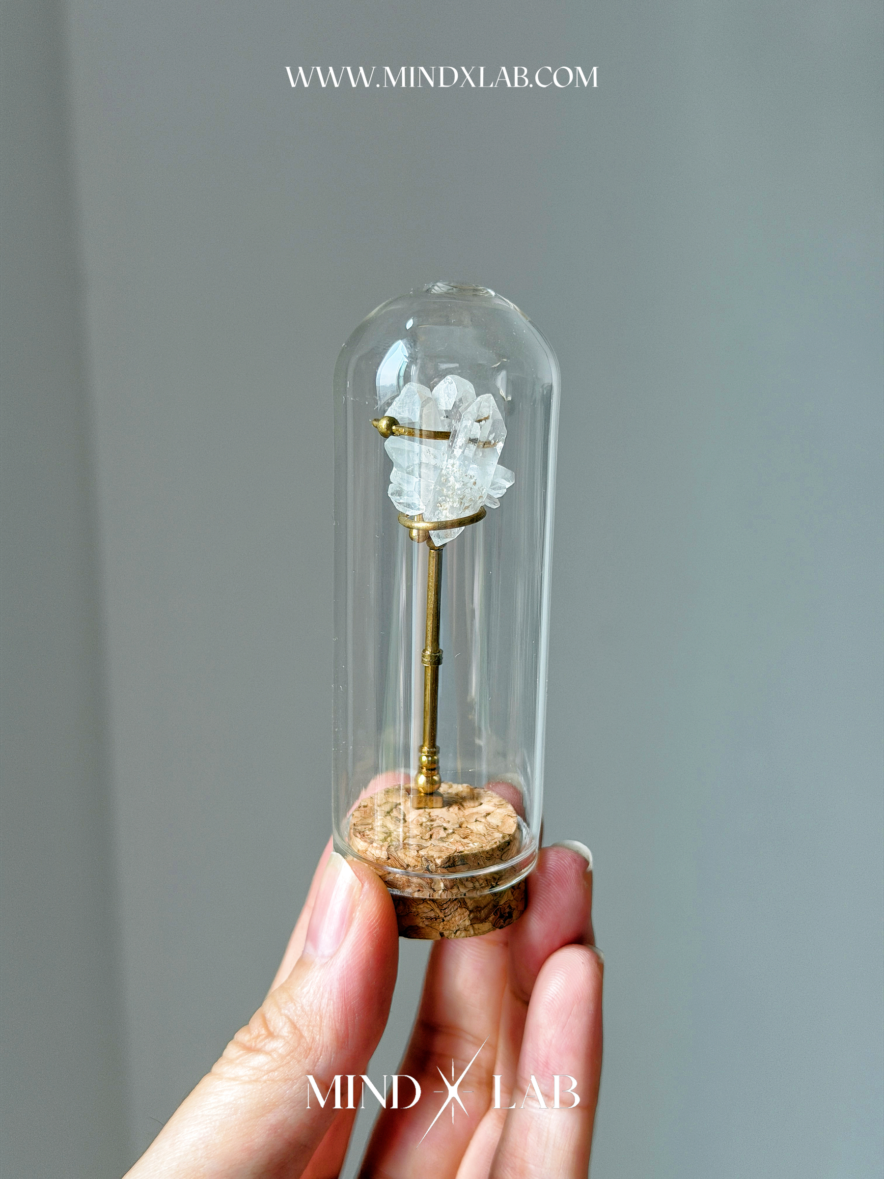 image_D7D0AF50-8BCB-4F6F-AC6B-87DD1B75882A_1775296413