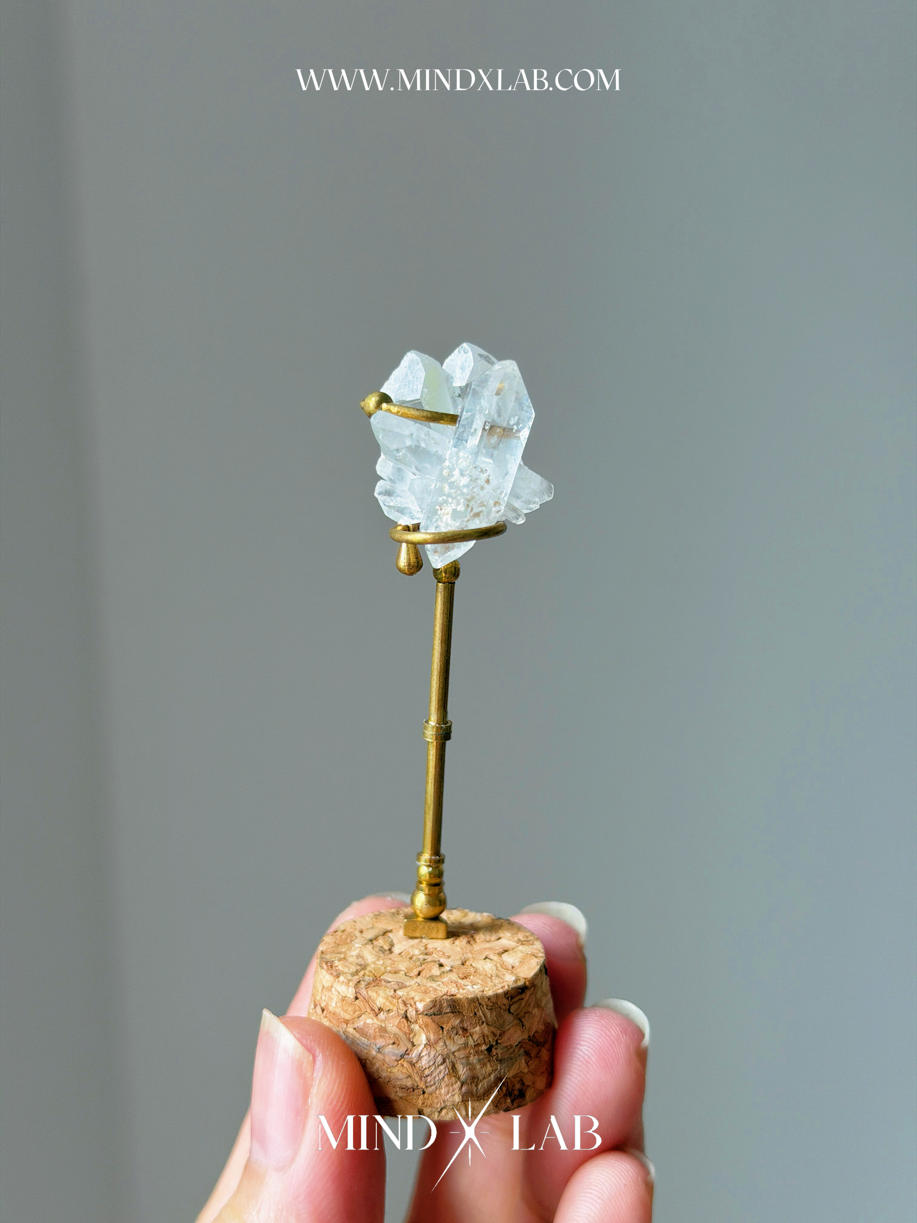 image_177BA6ED-17EC-49ED-95A0-C2B8EC4AE7A8_1775296413