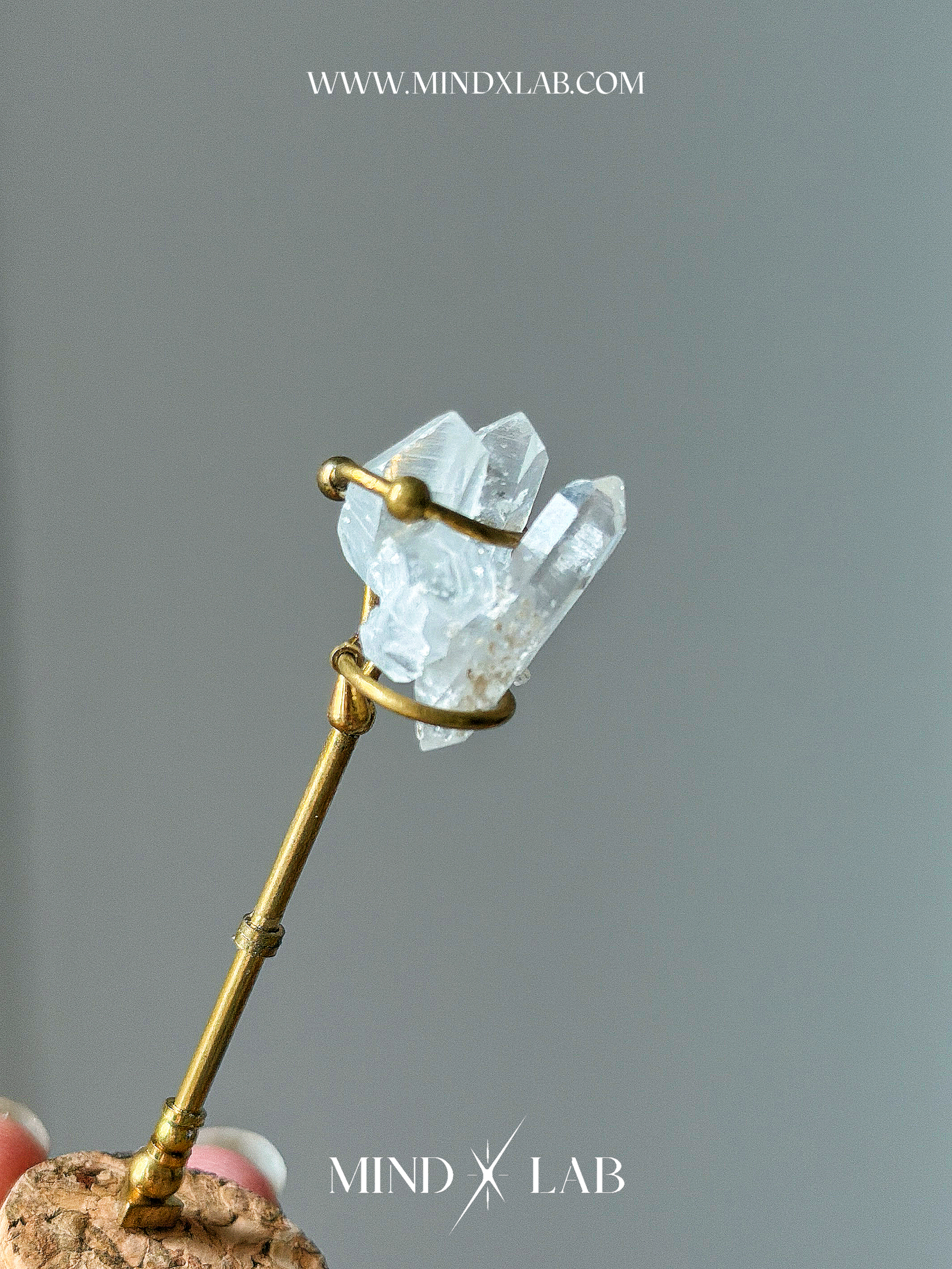 image_52360168-1F0C-4C43-A186-4D46ABE437A3_1775296413