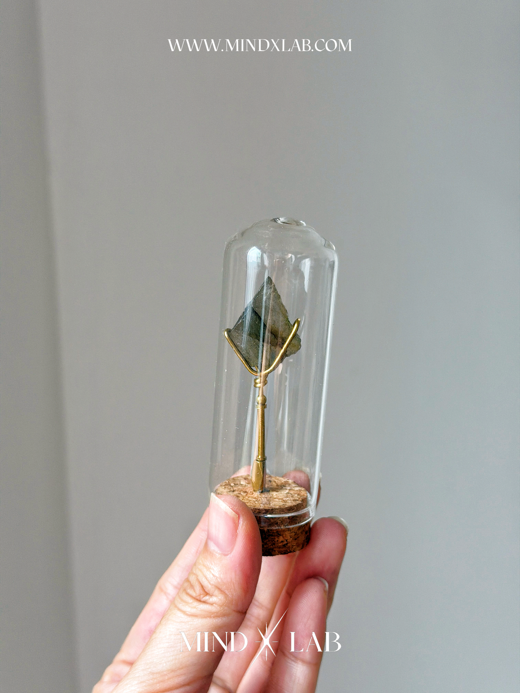 image_A371A86C-294D-4F63-85A3-B0CB9E29C5CC_1775296413