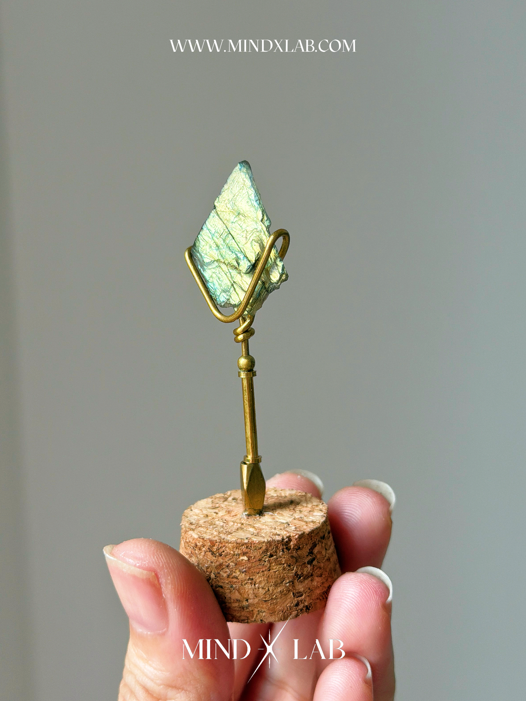 image_5DD43C3D-14B0-4129-B03B-A45EC398DA20_1775296413