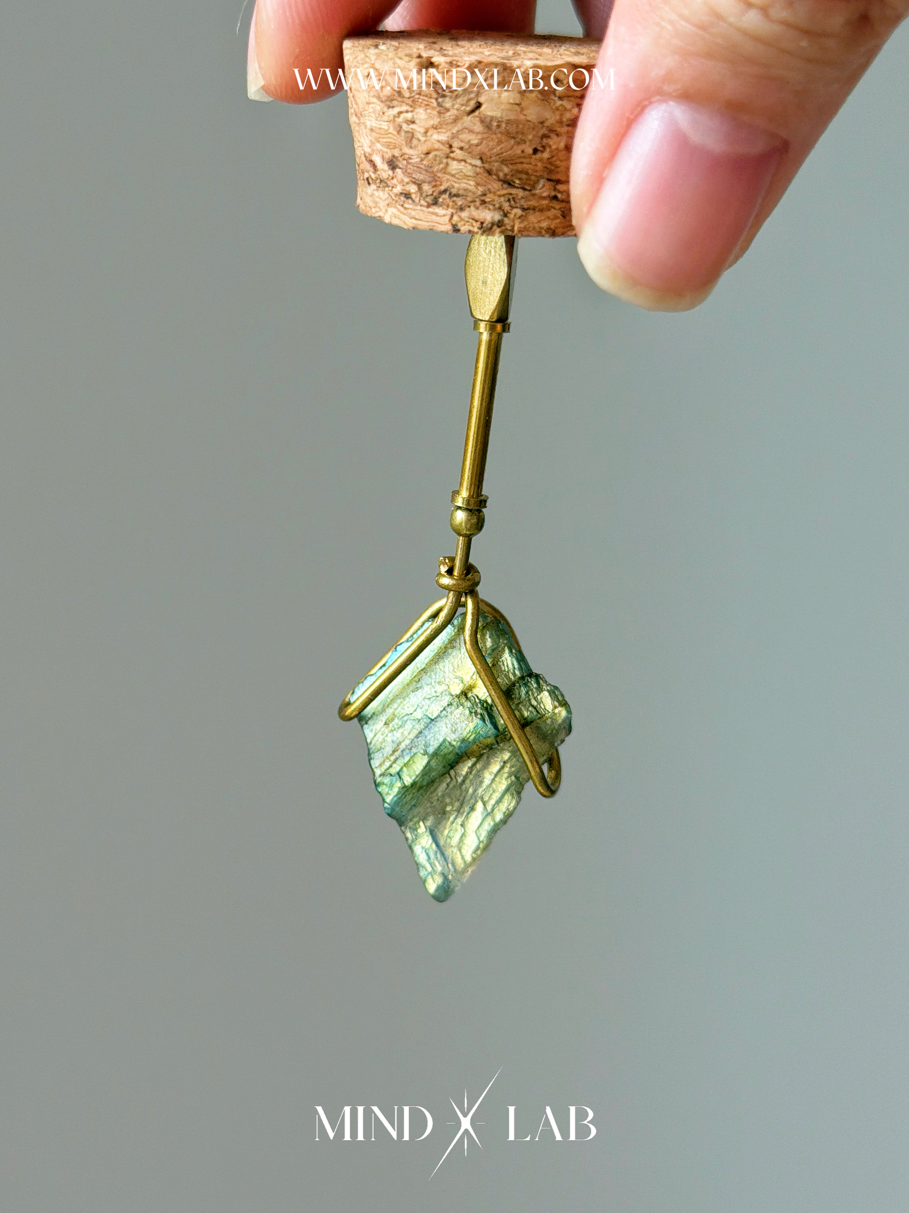 image_5D3DB69F-E009-4C79-A50C-C842A5E83119_1775296413