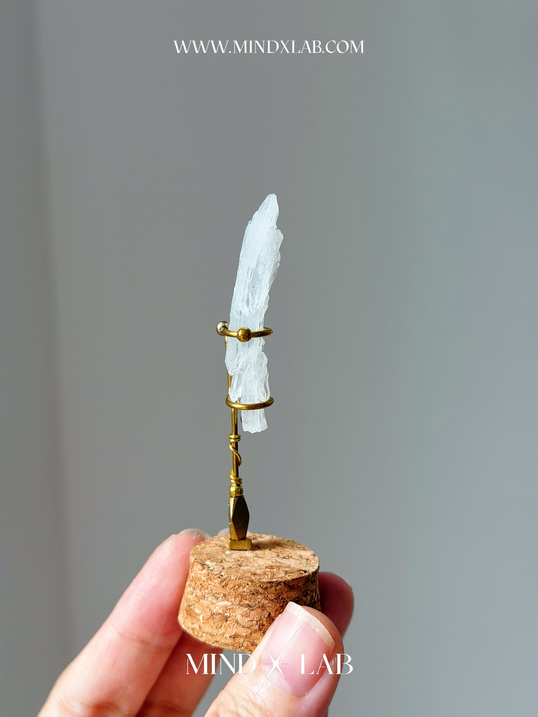 image_BE90711E-8E21-4367-9FB3-55436A2F97D8_1775296481