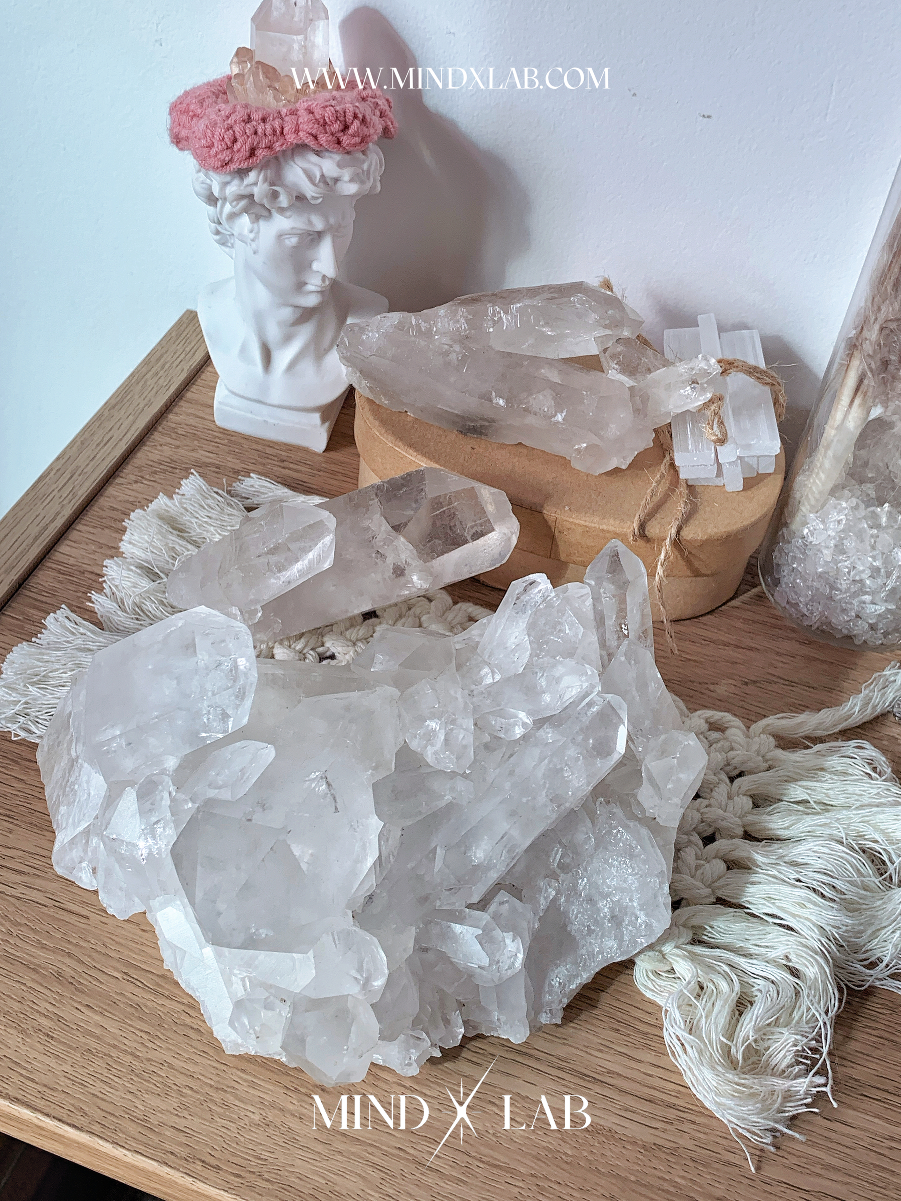 IMG_4393-1740545545043