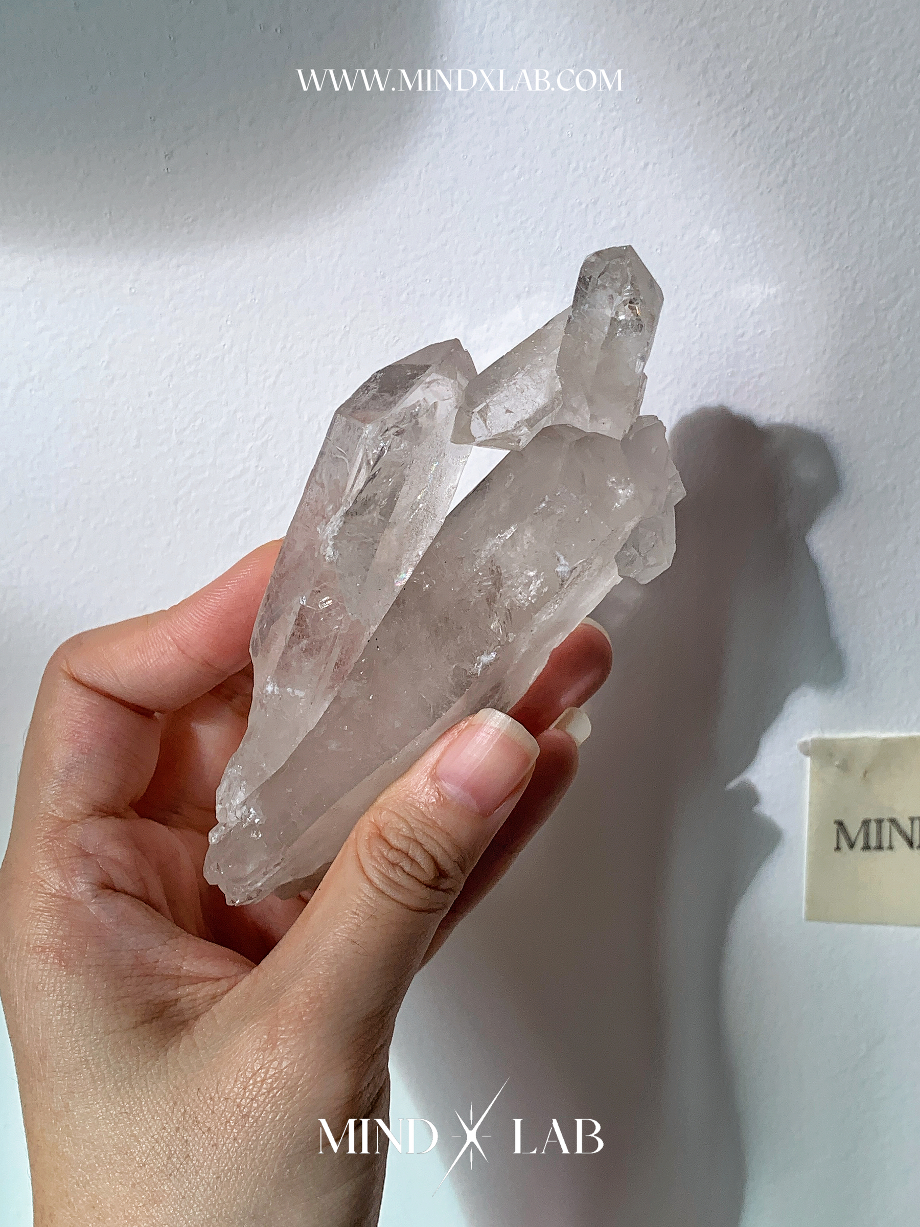 IMG_4394-1740545545047