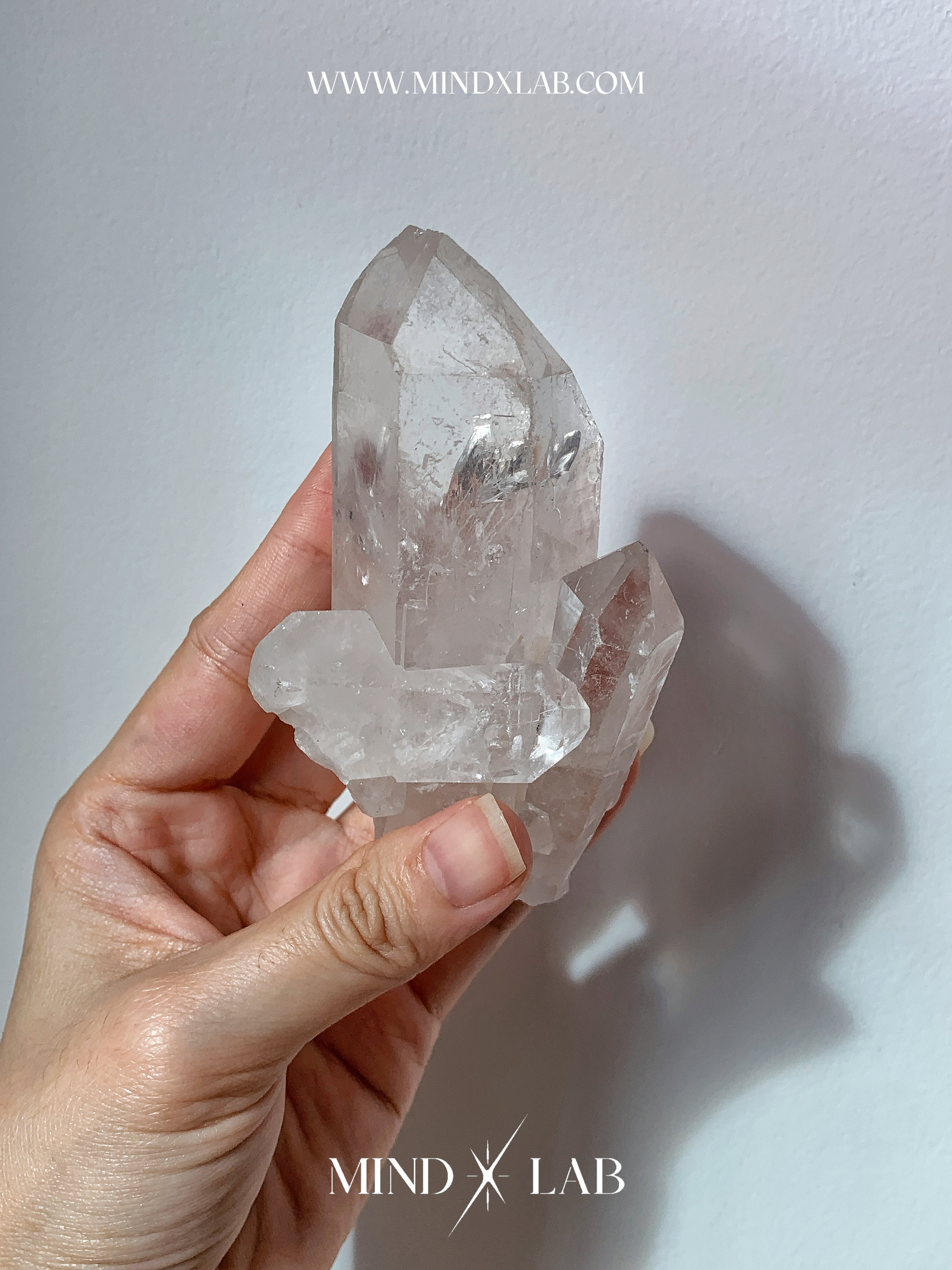 IMG_4395-1740545545052