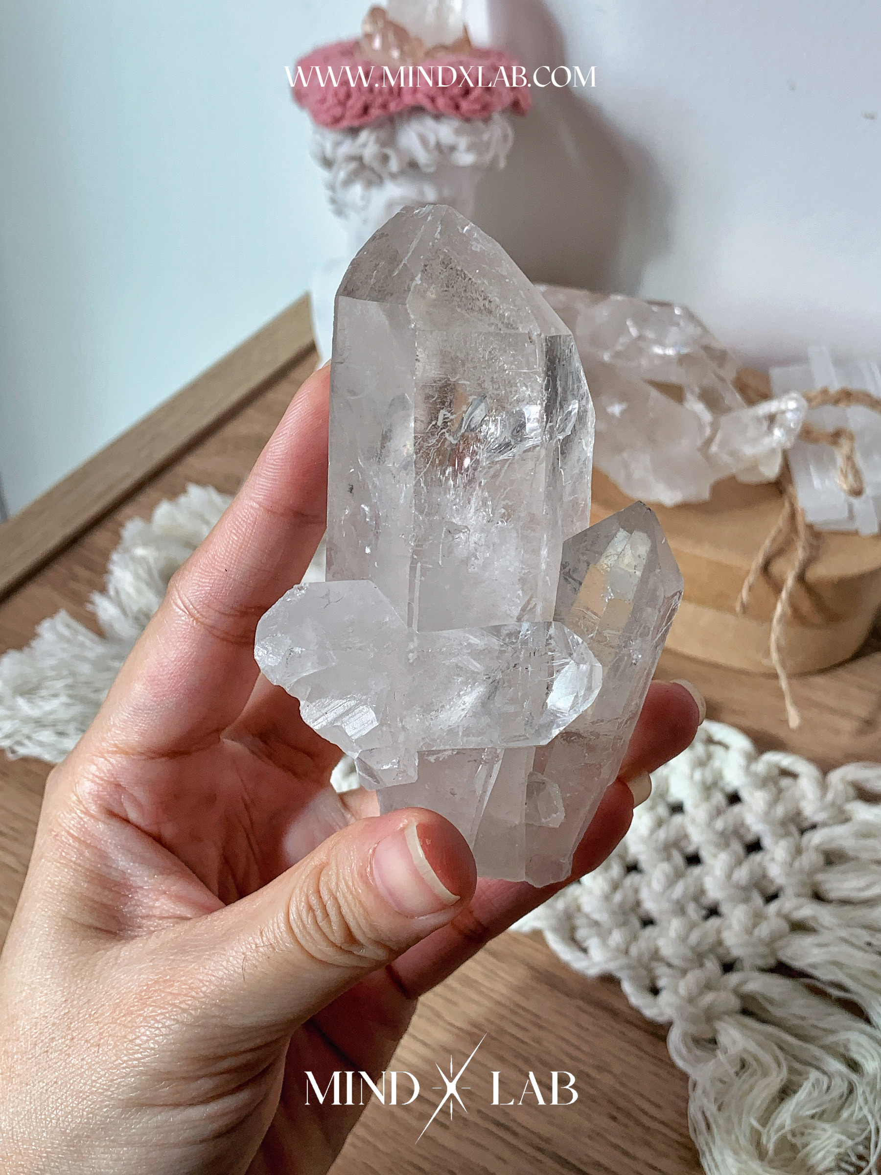 IMG_4396-1740545545059