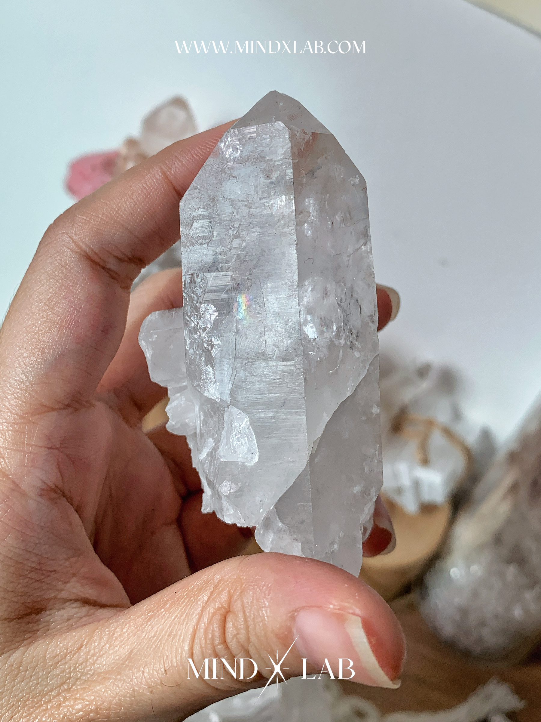 IMG_4397-1740545545065