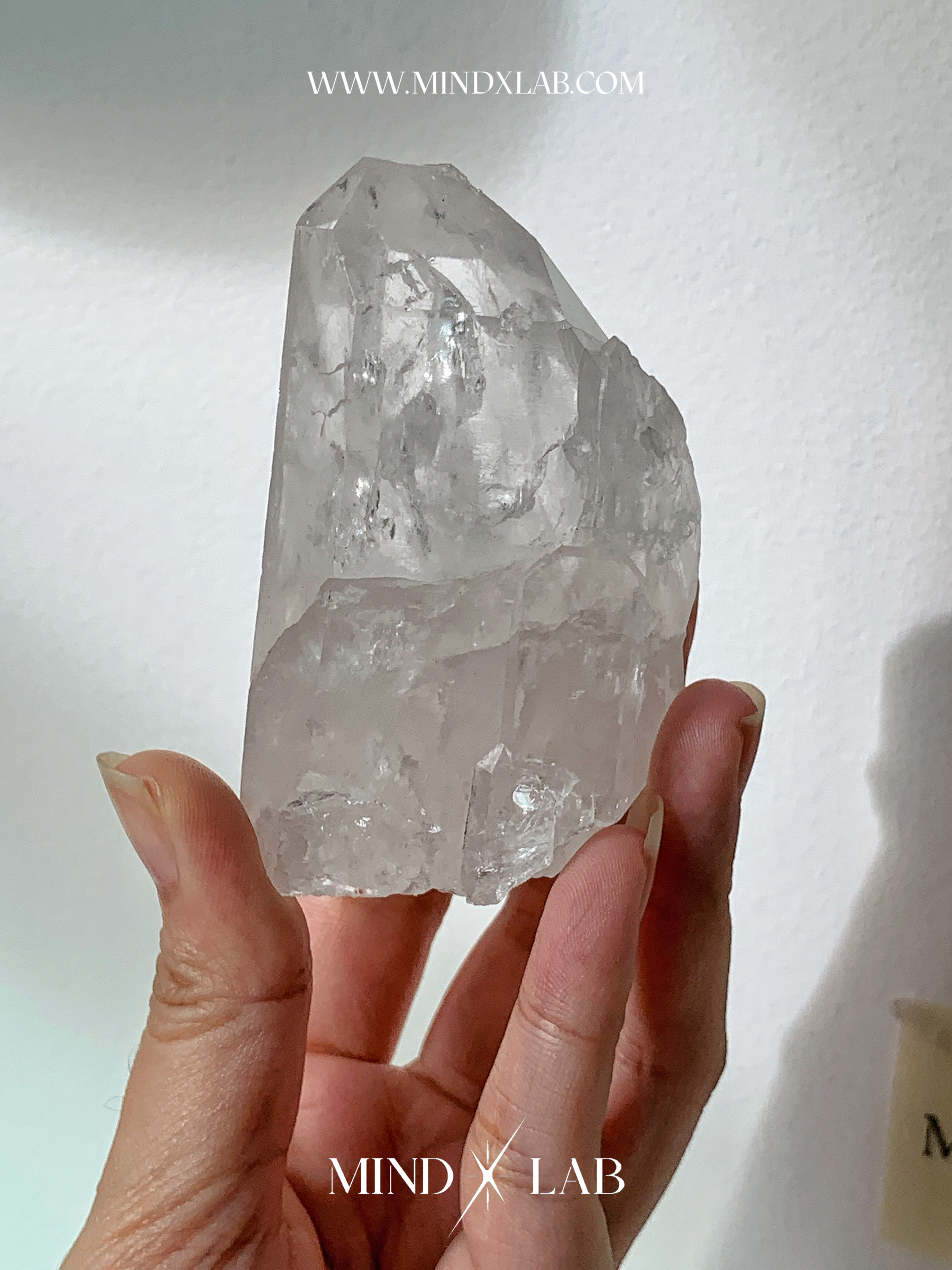 IMG_4398-1740545545073