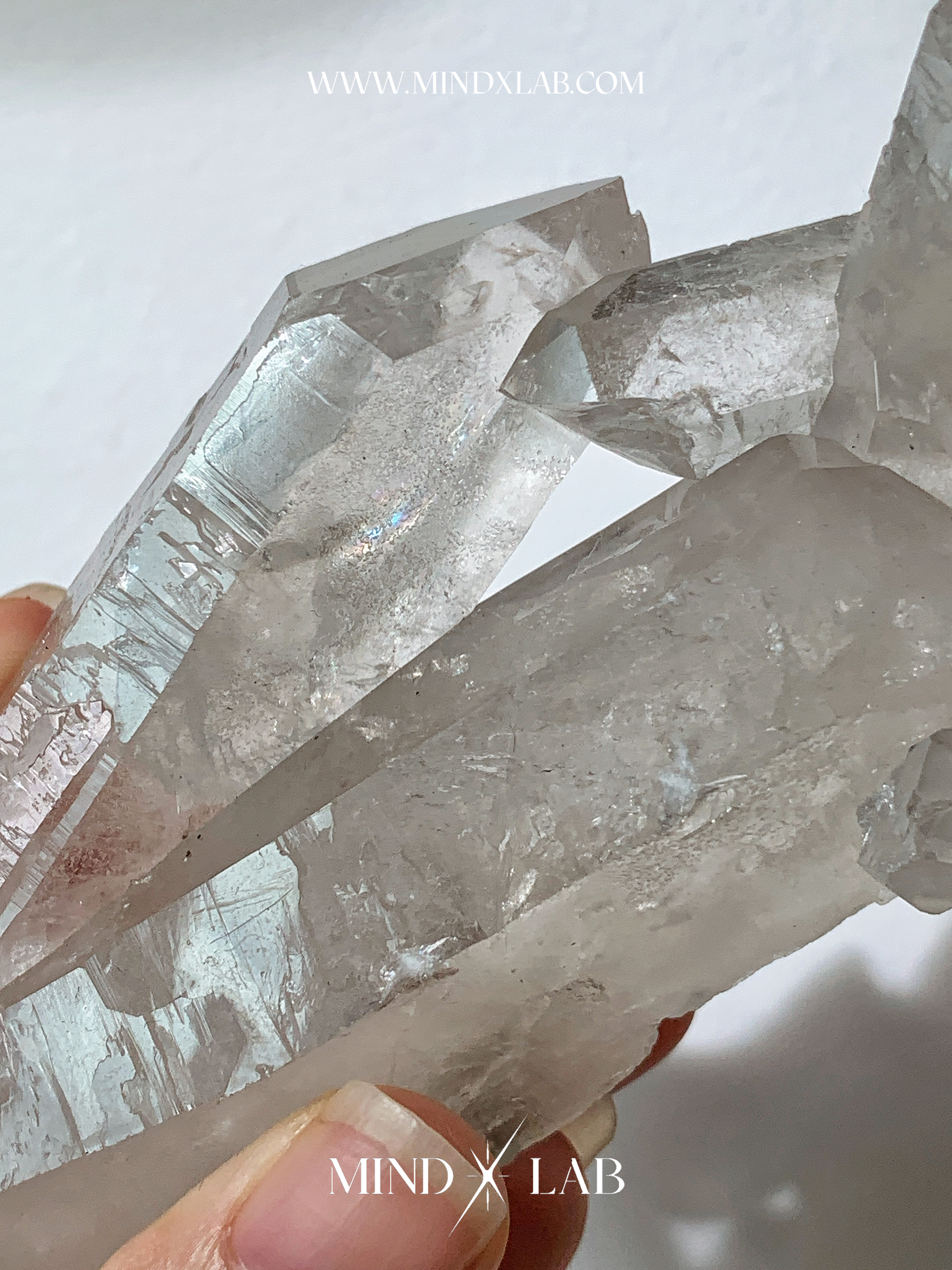 IMG_4399-1740545545080