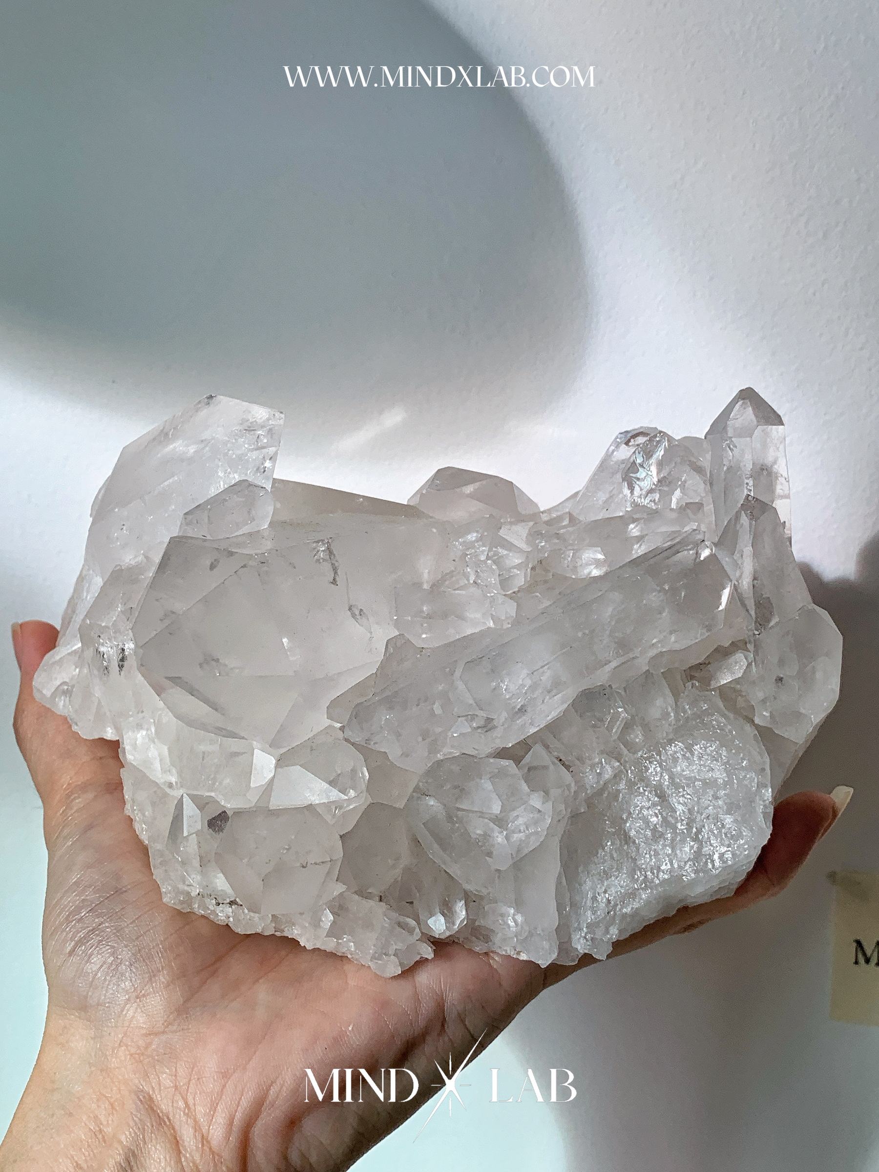 IMG_4400-1740545545085