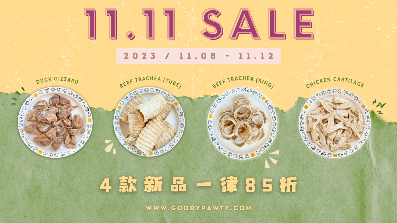 1111 promo 1 website