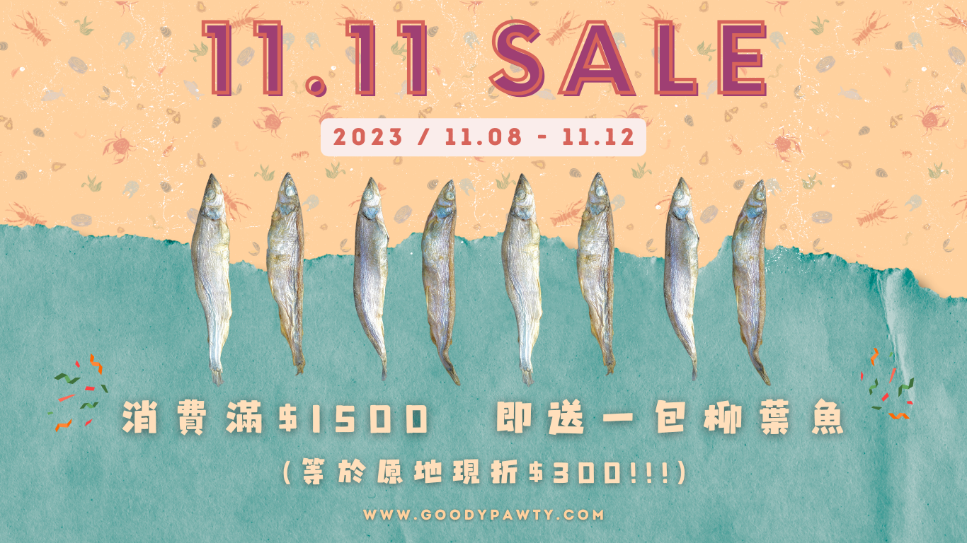 1111 promo 2 website