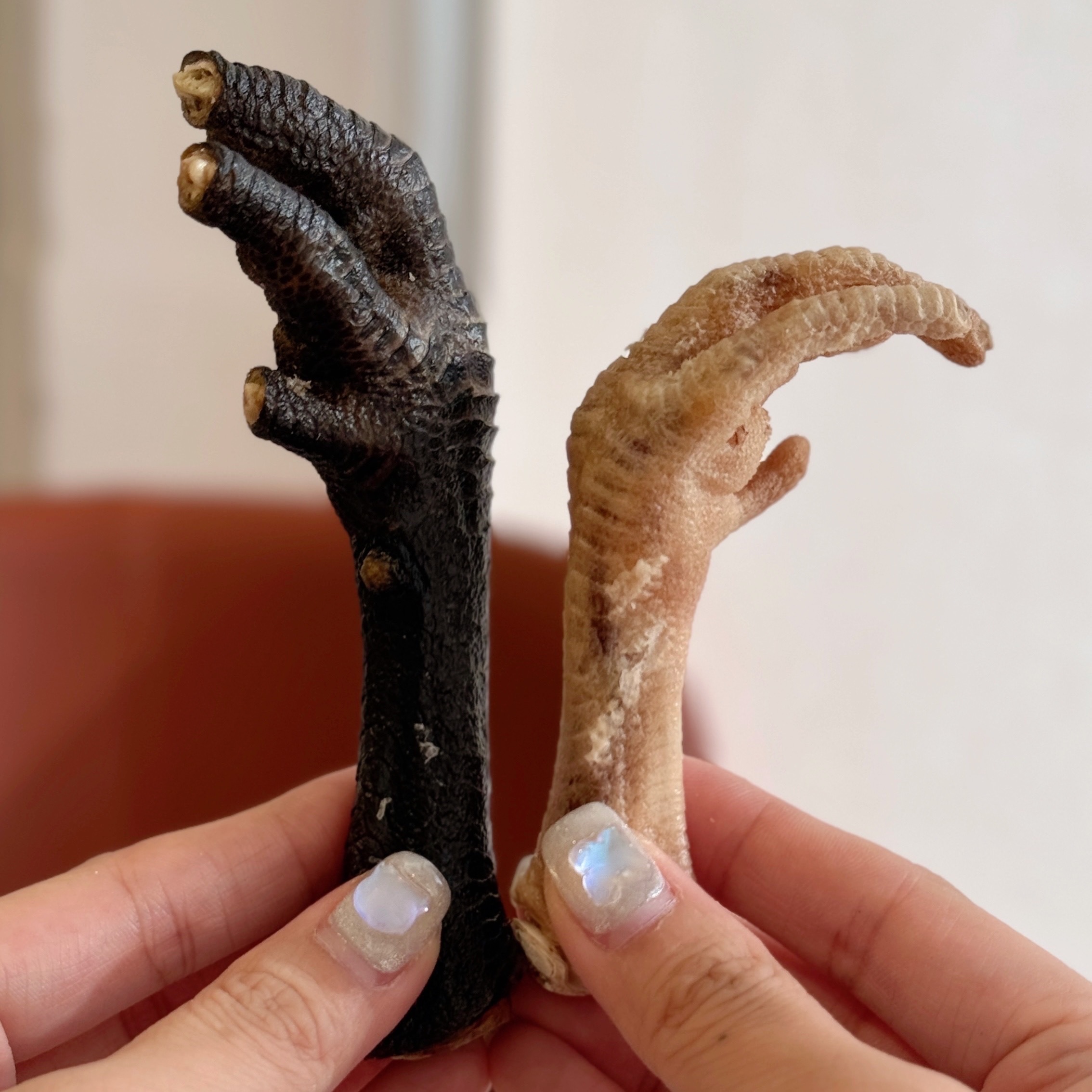 黑白雞爪 1