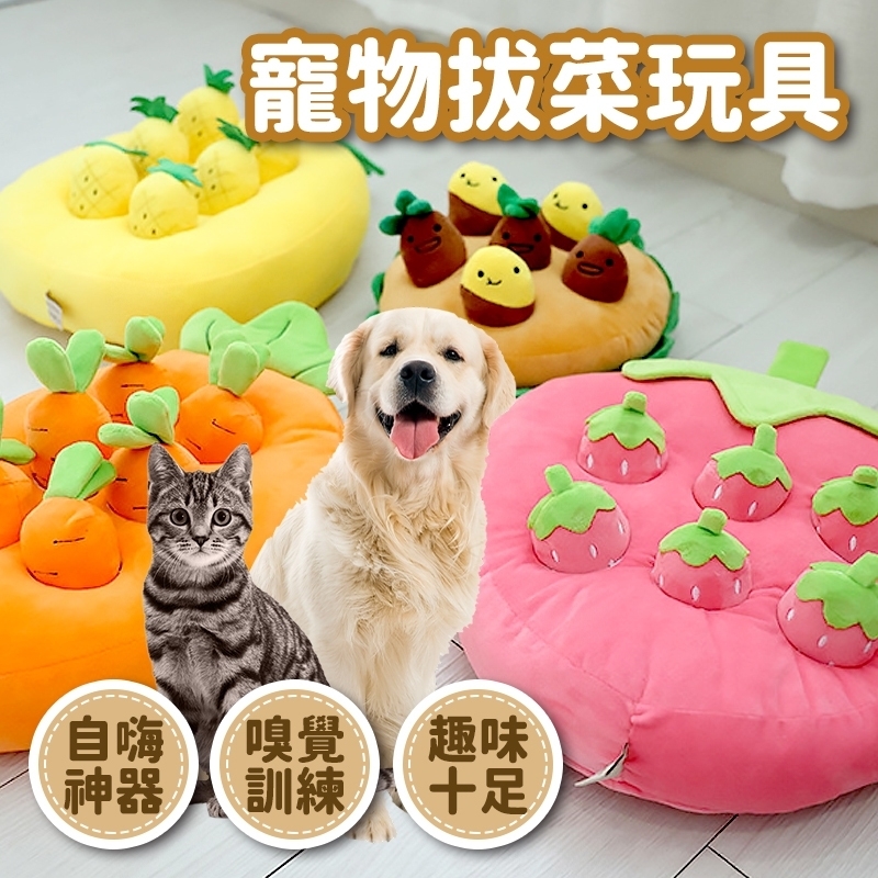 LINE_ALBUM_寵物拔菜玩具_231130_8