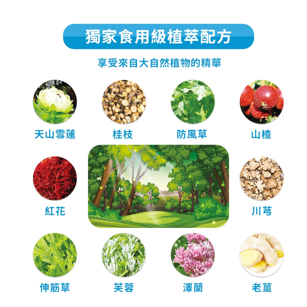 tw-11134207-81ztg-mf0jg3z4qk2374