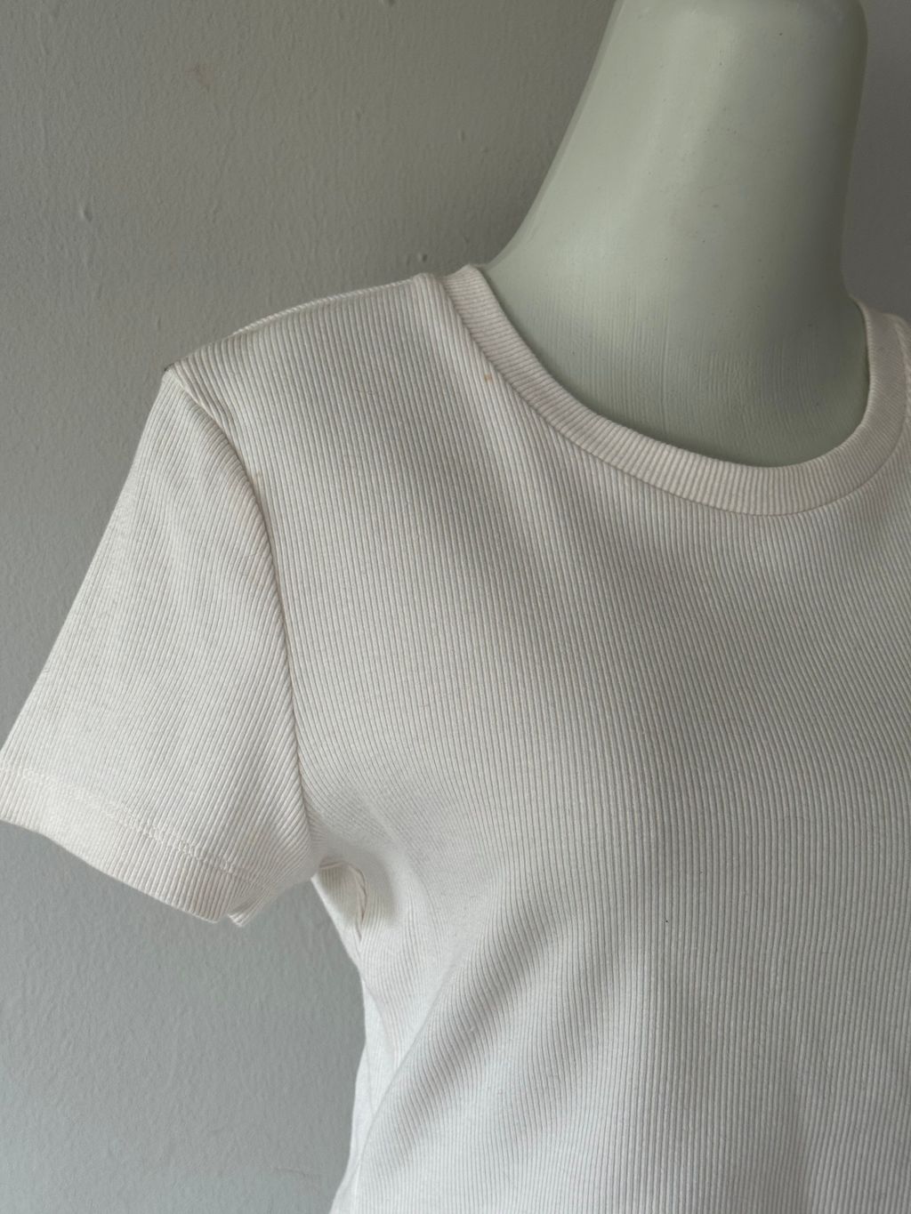 image_08922FD7-7619-429D-B2F7-65D5408DDFD3_1765208903