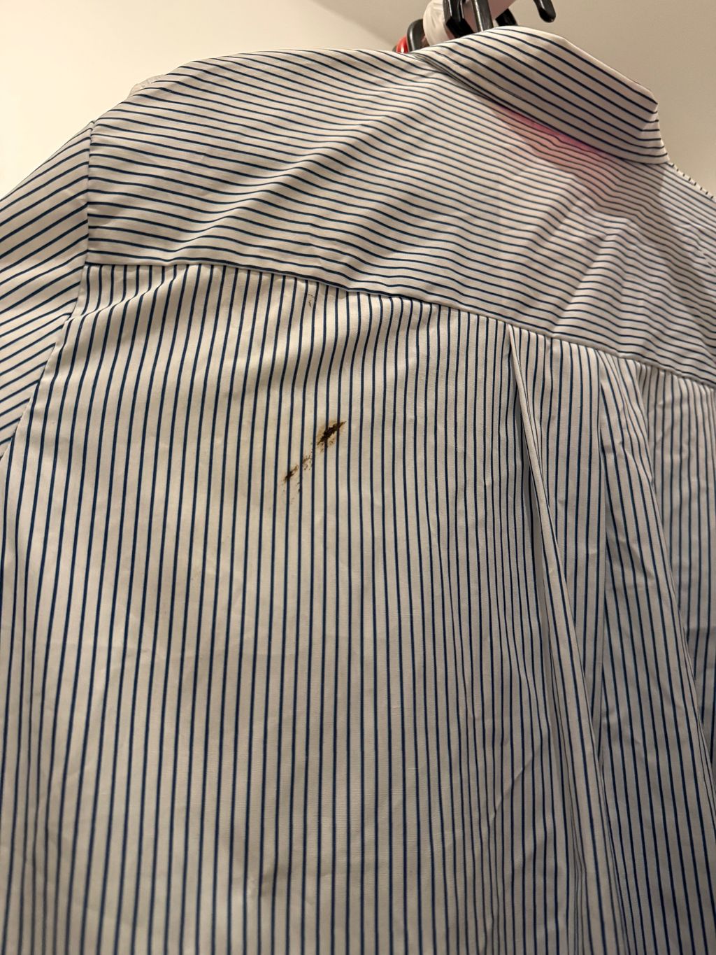 image_1E32AA9C-47EB-41BA-946D-A2E938D7C019_1765209015