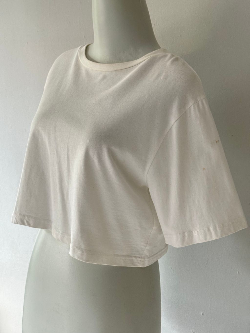 image_32255B40-5F3C-459F-A023-F8B70D90F246_1765277942