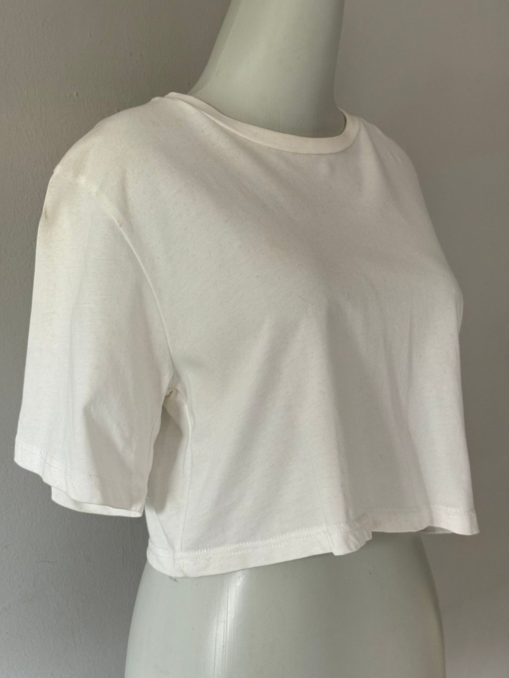 image_295B9BF3-B283-4DA3-A339-82EB9E177161_1765277942