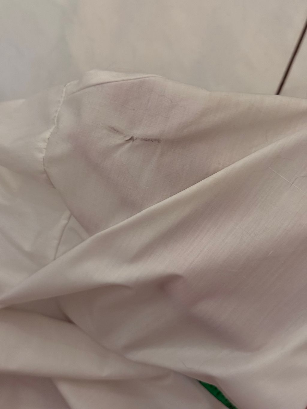 image_A87EC9FC-2DED-429E-8046-E01E21D60BC9_1765282555