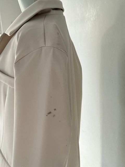 image_41249BEF-ABB3-422A-AFBF-C079D4120C7B_1765284354