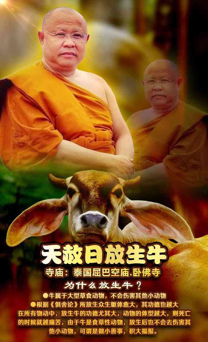 JPEG_20240520_205435_3361648595498377732