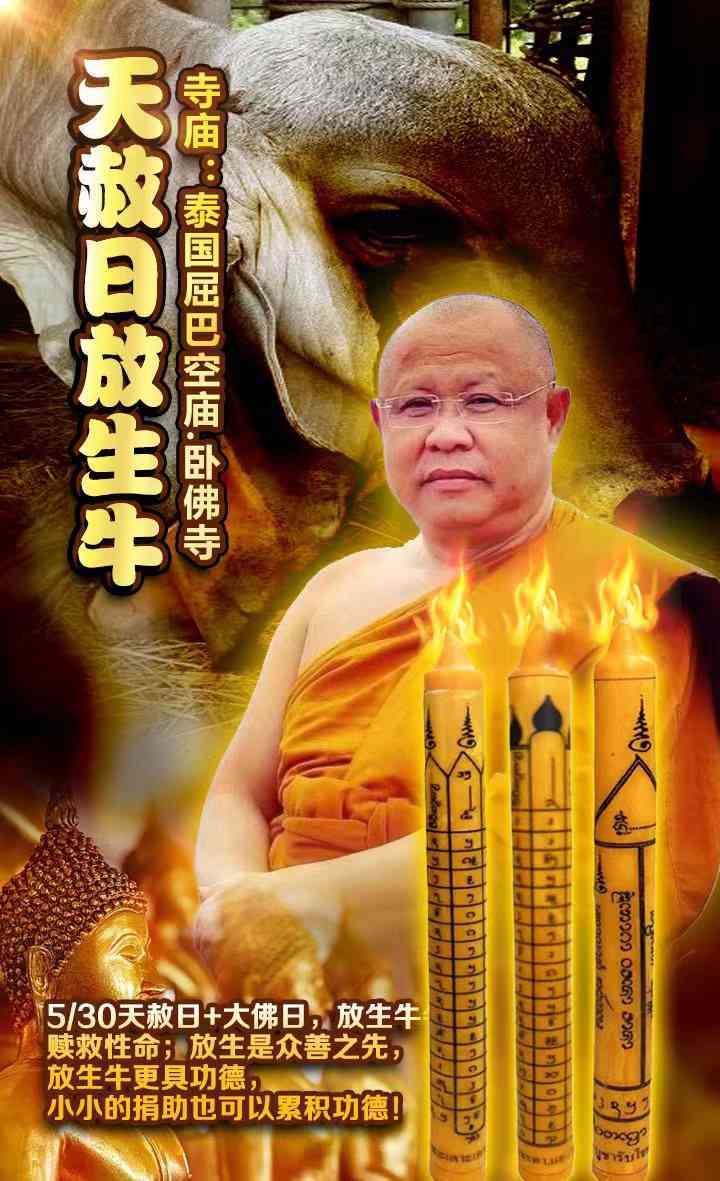 JPEG_20240520_205436_4581243348606919360