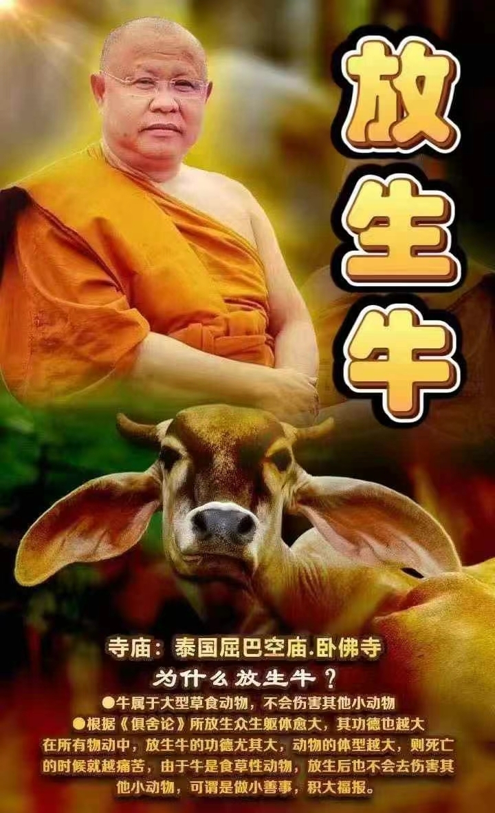 mmexport1742477364665