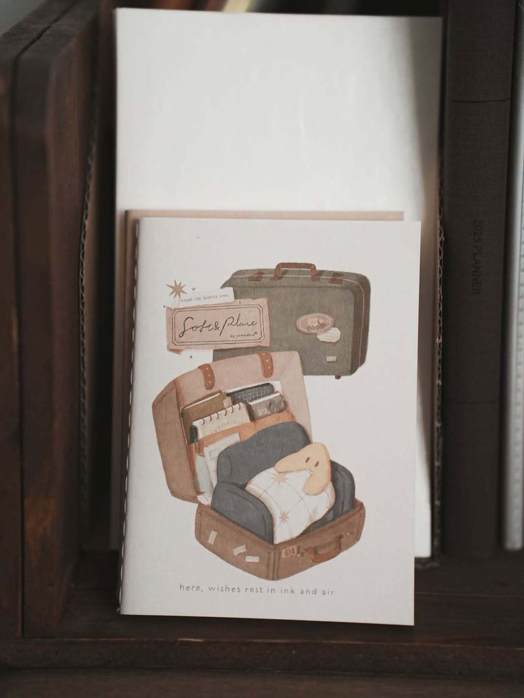 SaveGram.App_550282151_18505964776070360_809389941767695814_n