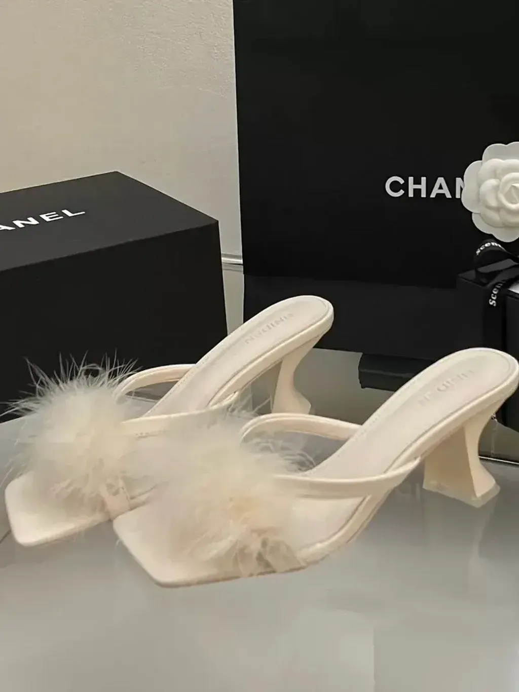 image_F5C8C15C-9503-4445-BD18-A94E35AA0158_1773454762