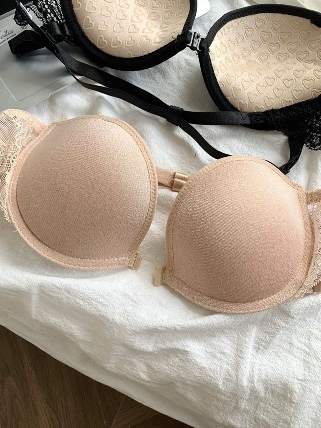 IMG_8557-1737455960696