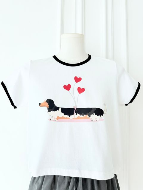 image_DD8BCD5D-9CFA-4D4E-9130-C7734821DF63_1775119609