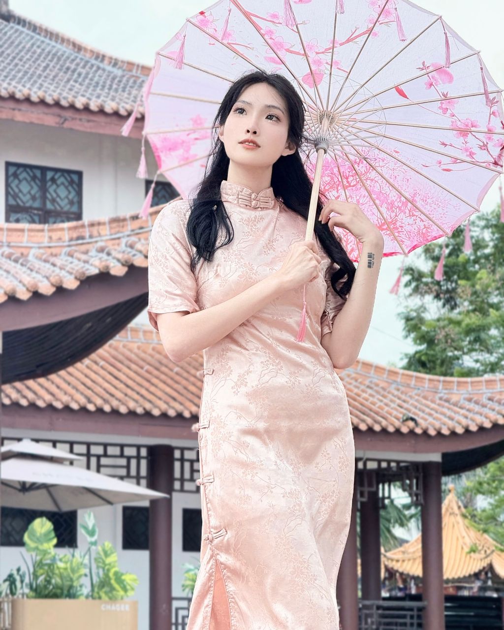 IMG_6922-1736944048737