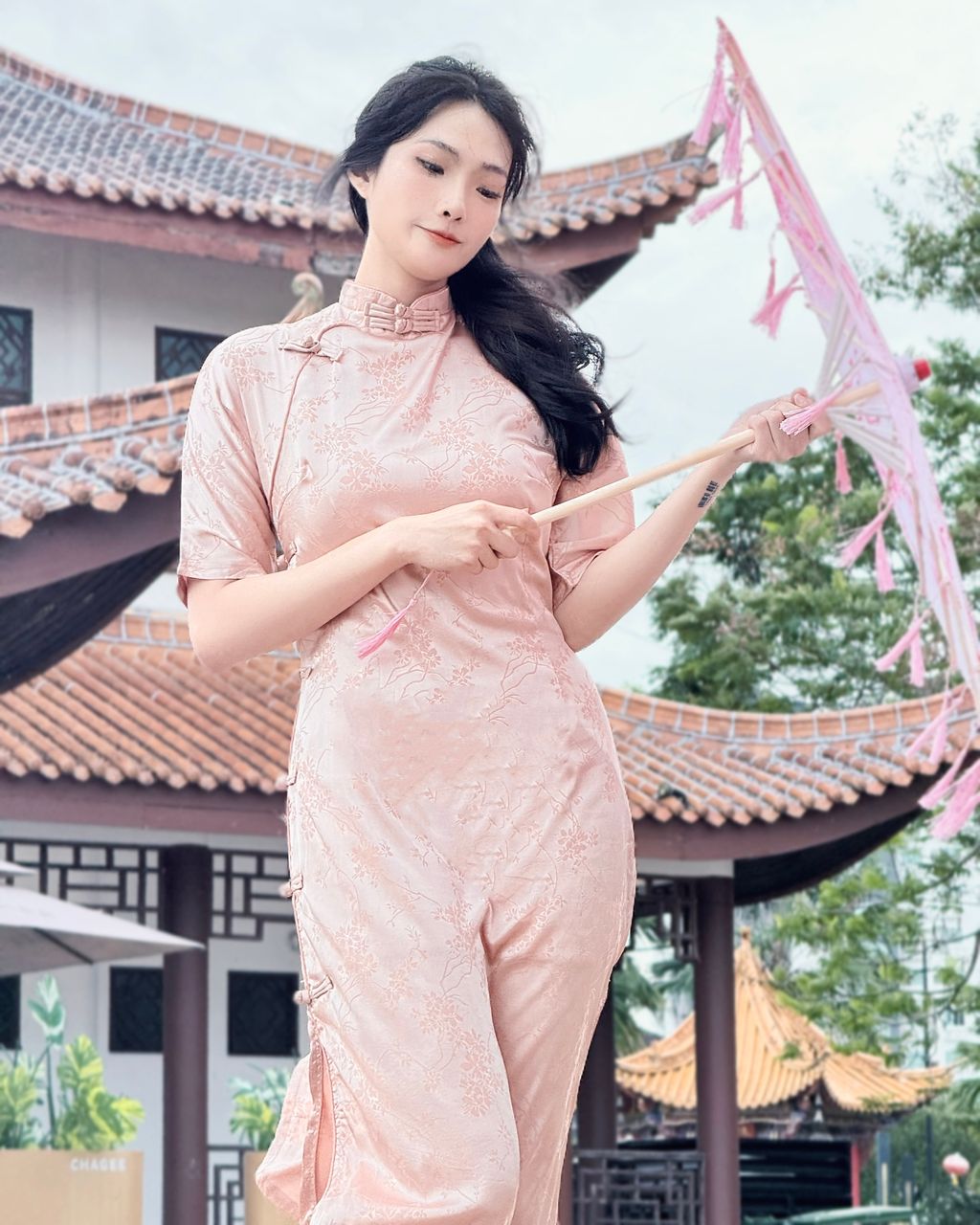 IMG_6923-1736944048735