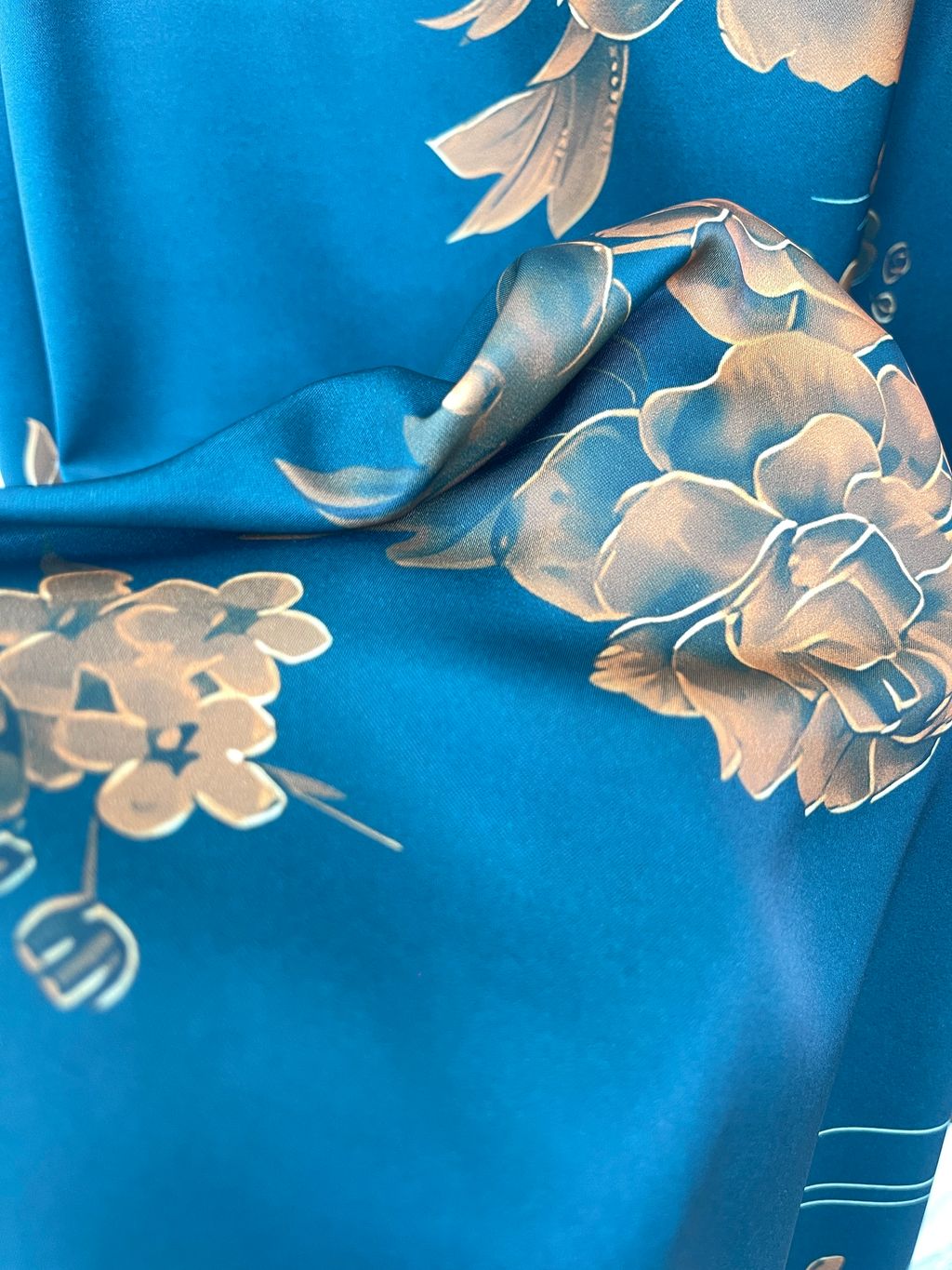 IMG_7006-1735548282991