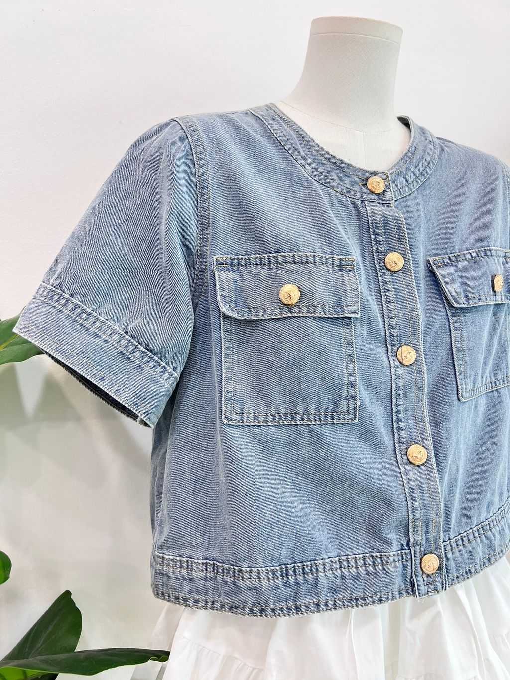 image_849E54B7-5E7C-41E1-8A70-BF8C4B5078AE_1763543134