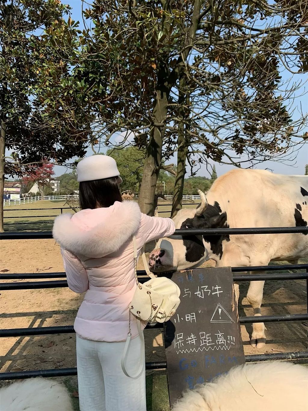 image_EBE5FB92-1AA7-42D2-AFF7-FF9D4912F52E_1764743552