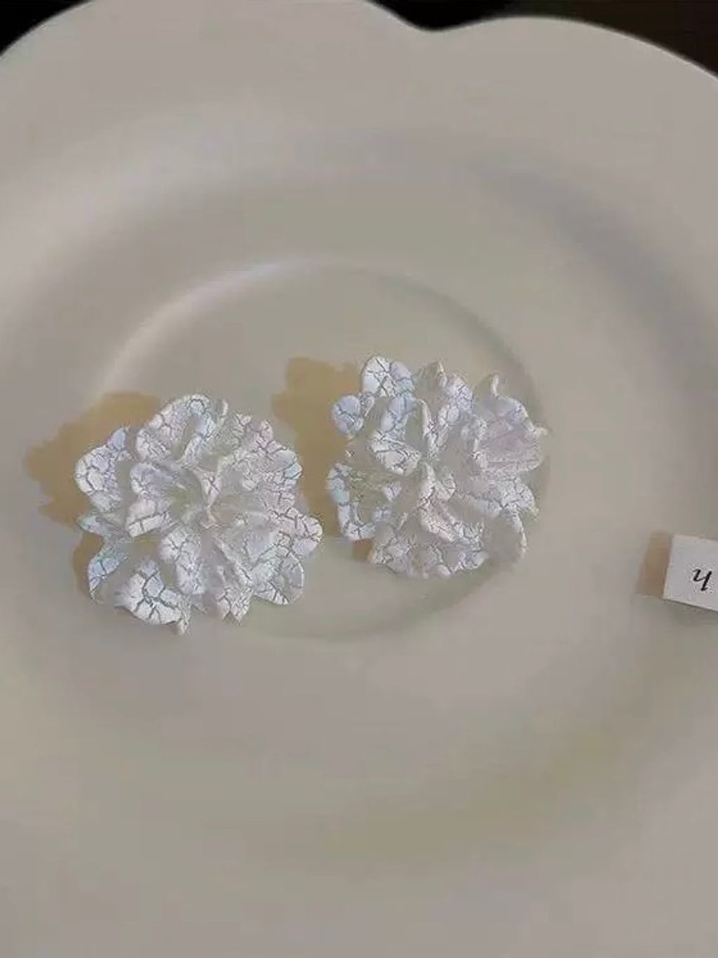 image_FB3D32F6-6633-4EC4-8FFE-DFBB692B623E_1766129459