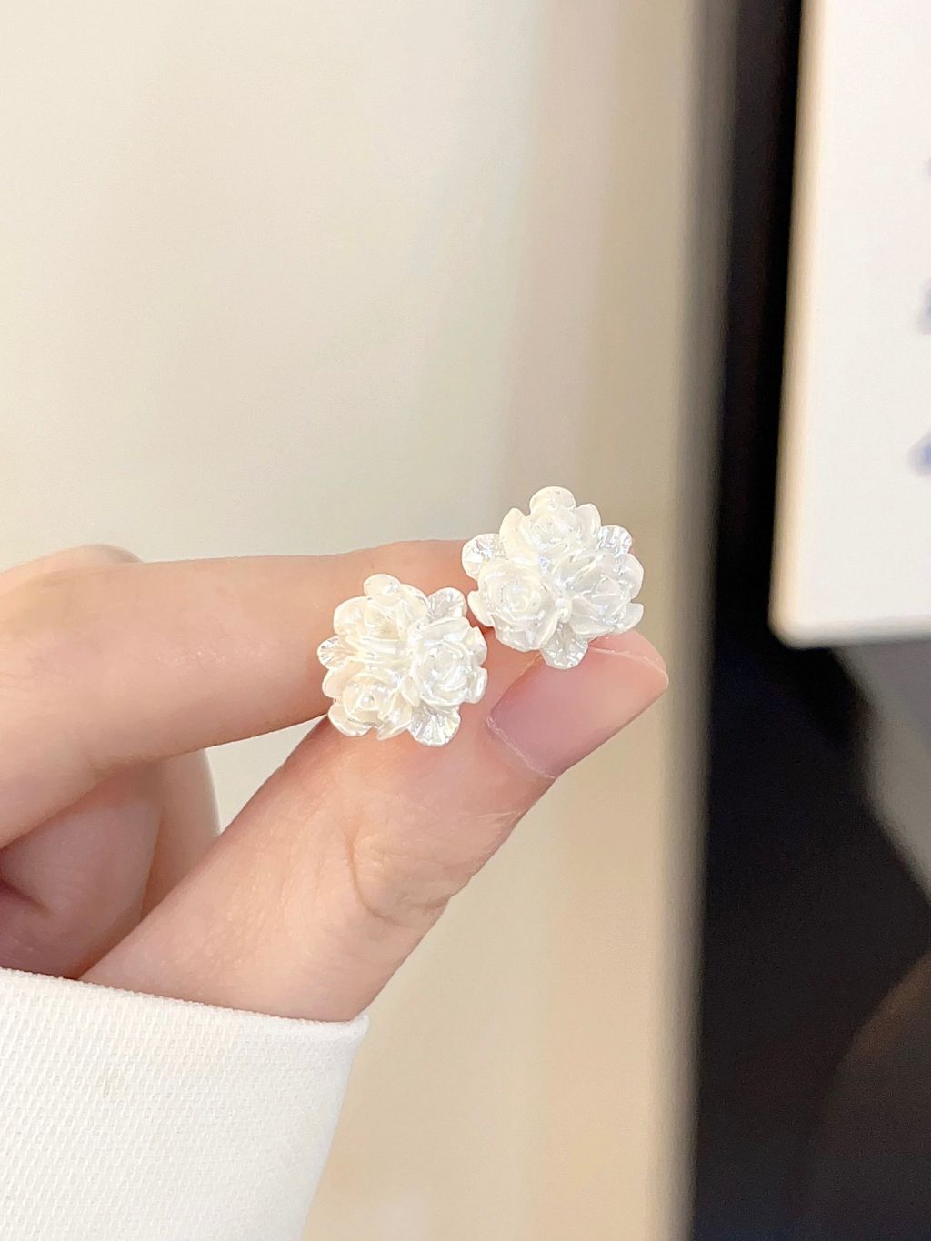 image_4664C1C1-E93D-4AAB-AFB5-B0E7CD45BD44_1766135903