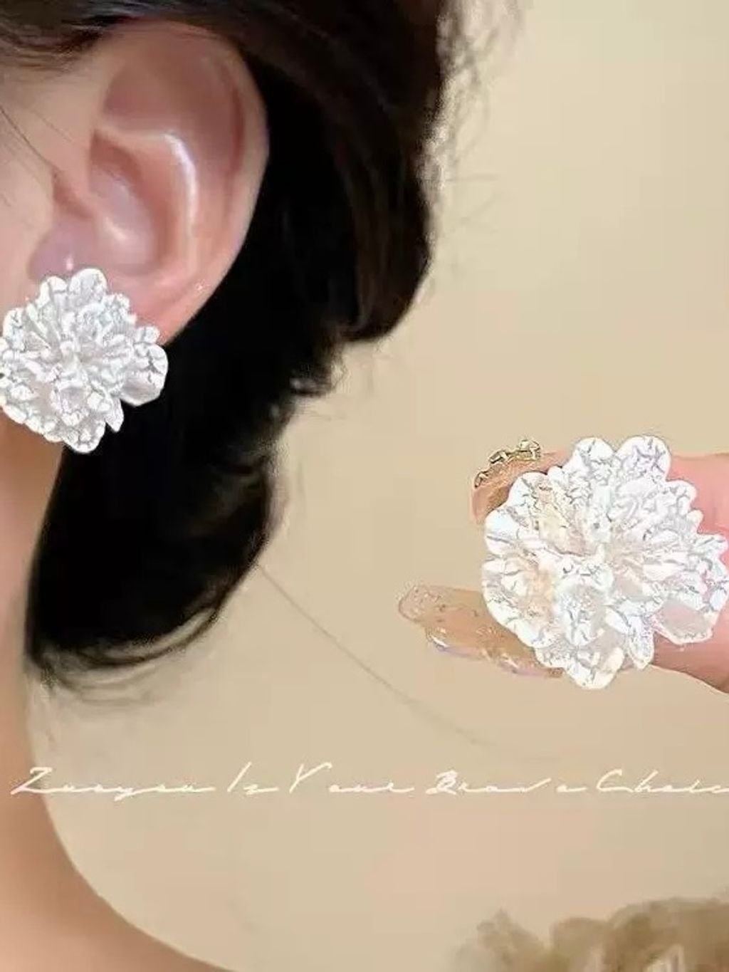 image_8096BD08-D433-41A1-B1A7-6884D5C5EEA5_1766391070