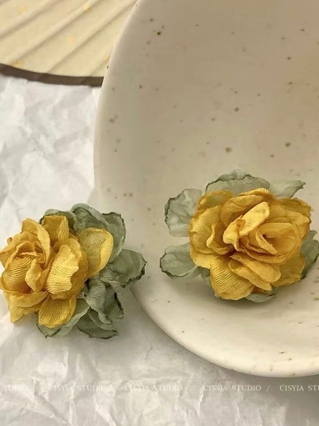 image_85EA99BD-74F1-4B3E-BA8C-D40ED2B69129_1766395411