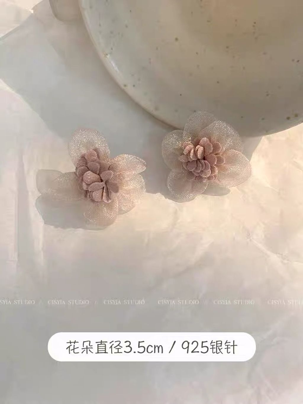 image_6F0DE8B8-1CA3-4992-8275-BB3C974F2808_1766395471