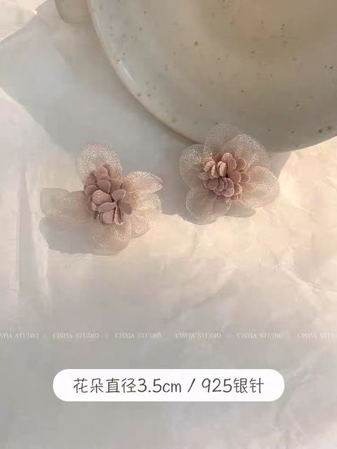 image_6F0DE8B8-1CA3-4992-8275-BB3C974F2808_1766395471