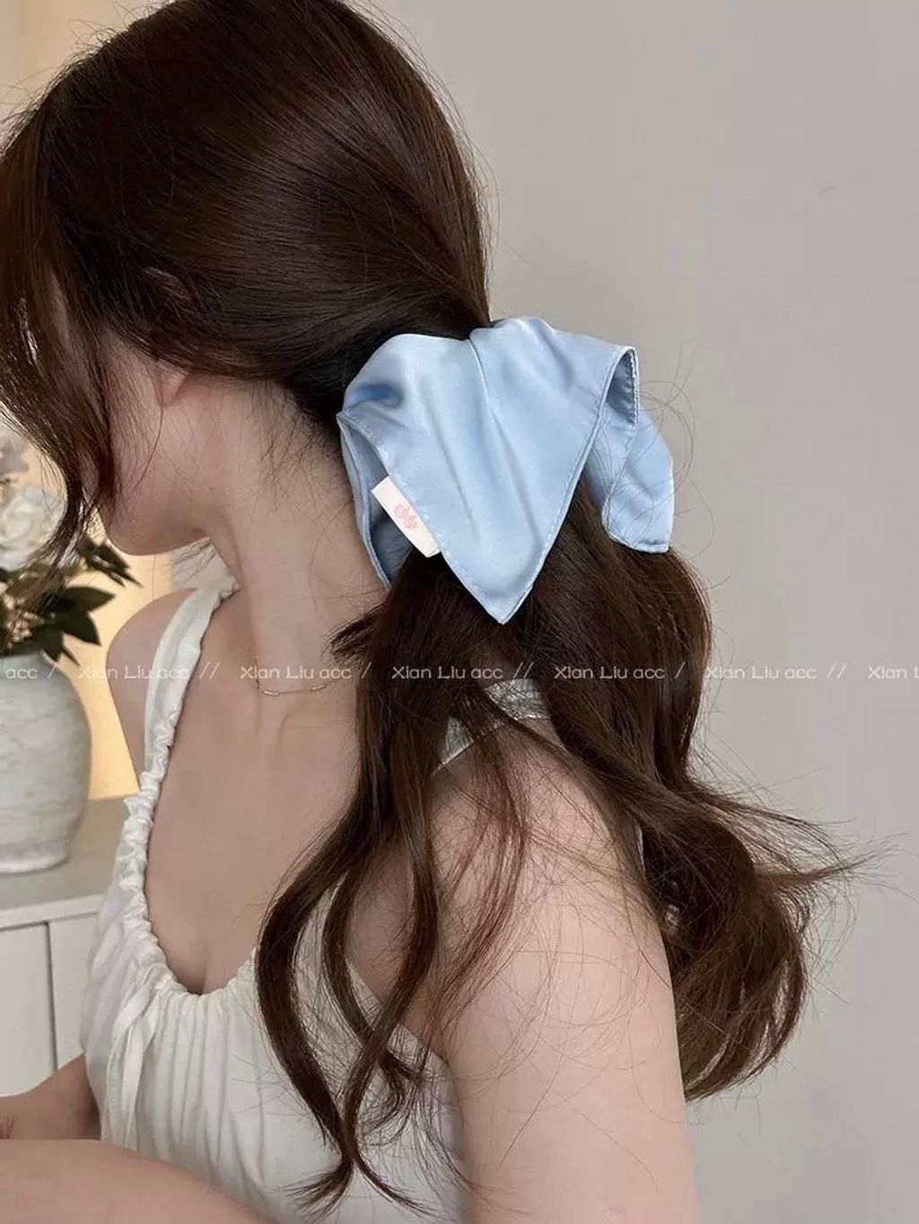 image_1C24407B-032A-4F01-A8A8-42AA0D0D34AA_1766559394