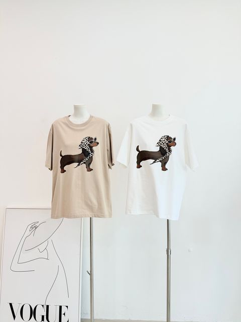 image_2509D58F-89B6-4CEF-B582-5417F625FBB9_1767605151