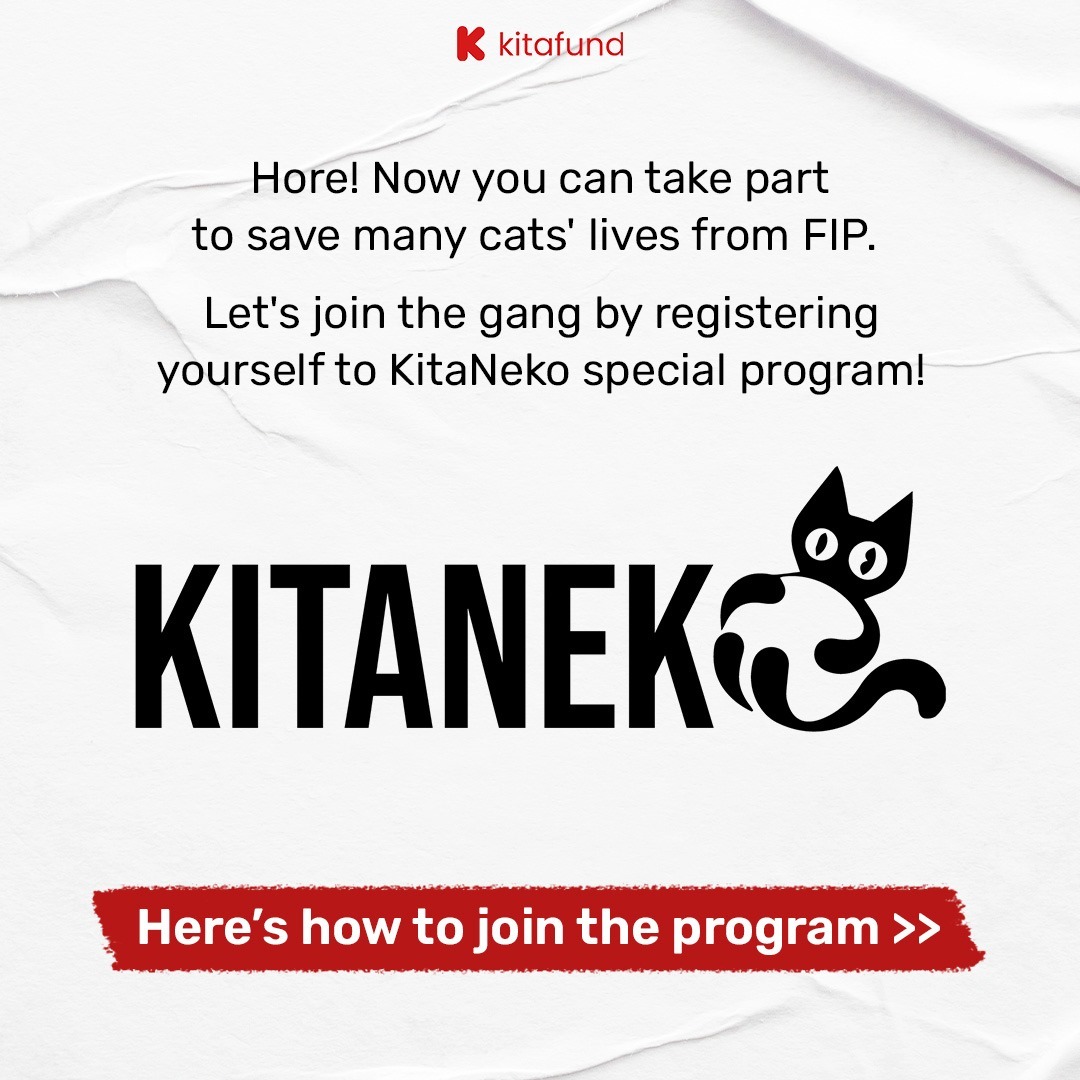 Kitaneko 1