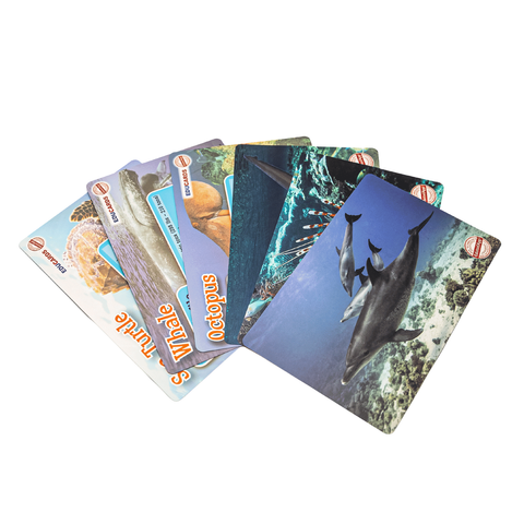 Sea Animals 3D AR Educards Image 1