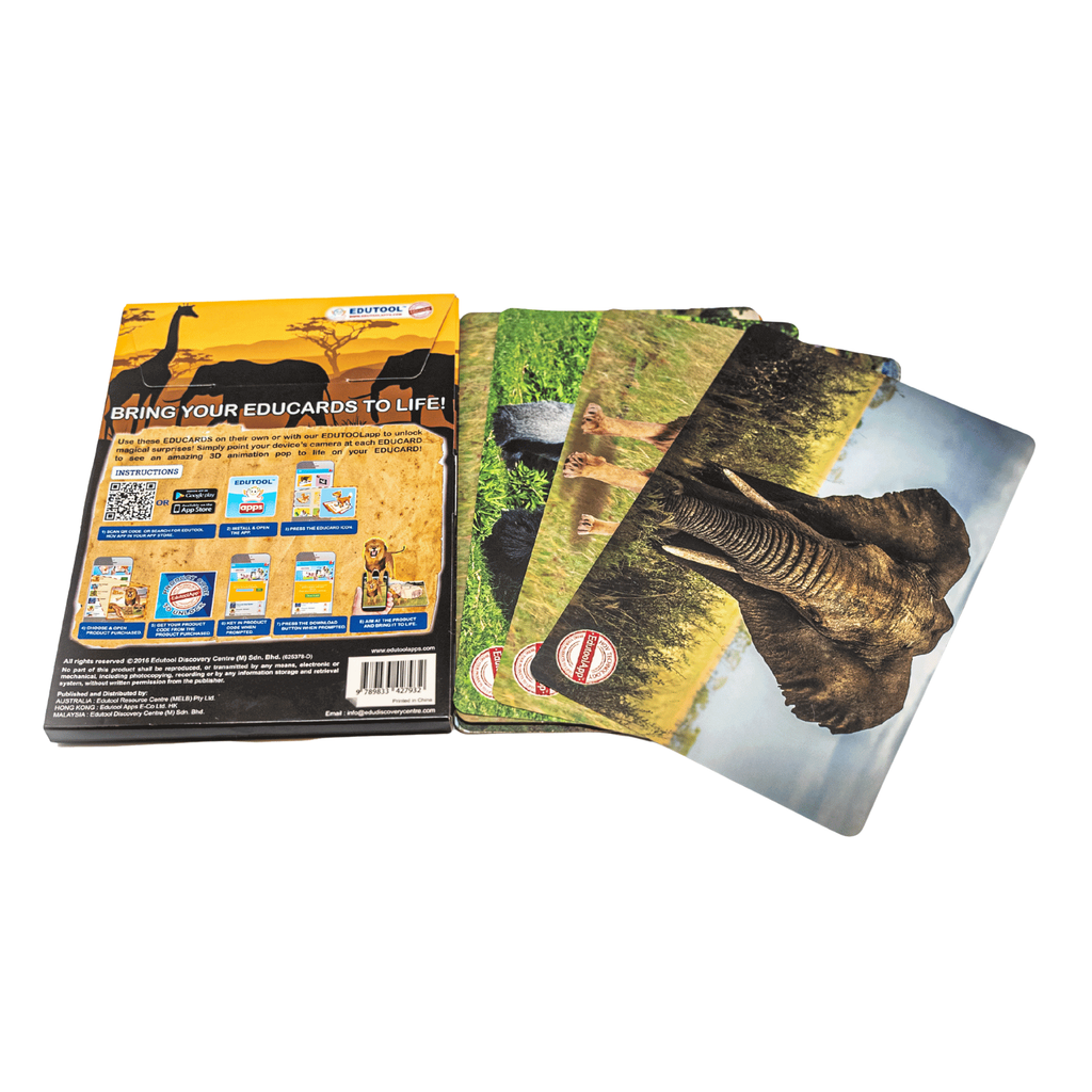 African Animals 3D AR Educards Image 4