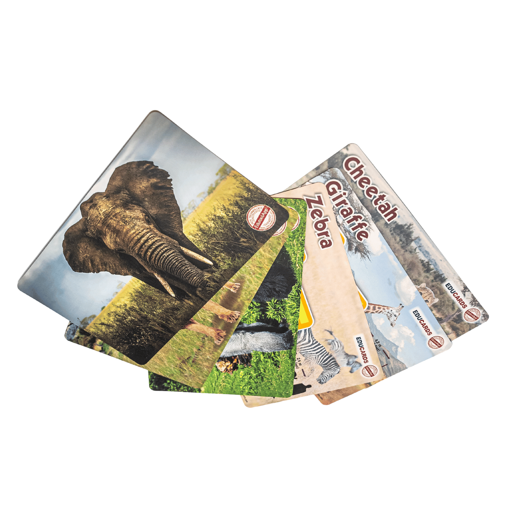 African Animals 3D AR Educards Image 1